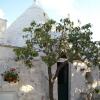 Отель Agriturismo I Trulli di Zio Dino, фото 7