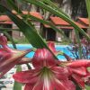 Отель Trang An Spring Garden Homestay, фото 6