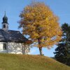 Отель Schwarzwald-Gasthof Rößle, фото 17