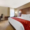Отель Comfort Inn & Suites Macon West, фото 7