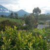 Отель Mondi Lodge Kisoro, фото 2