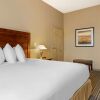 Отель Quality Inn & Suites, фото 35