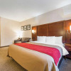 Отель Comfort Inn North - Air Force Academy Area, фото 31