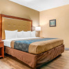 Отель Econo Lodge Inn & Suites Foley - North Gulf Shores, фото 4