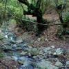 Отель Il Moro In Piazzetta, фото 1