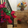 Отель Il Ciclamino Bed and Breakfast, фото 12