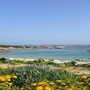 Отель Seaside Apartment Baja Sardinia - 6pl August - 250 m From Smeraldo Beach !, фото 17