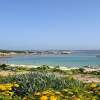 Отель Seaside Apartment Baja Sardinia - 6pl July - 150 m From Smeraldo Beach !, фото 12