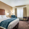 Отель Comfort Inn & Suites - Hannibal, фото 4