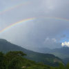 Отель Alishan Tea Homestay, фото 15