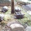 Отель Les Elles Guesthouse Self Catering, фото 22
