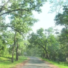 Отель Amrapali Pachmarhi, фото 18