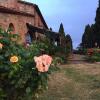 Отель Agriturismo Le Vignacce, фото 24