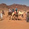 Отель Mountain Village Desert Tourist Camp - Wadi Rum - Jordan, фото 17