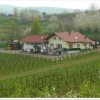 Отель Weingut Ringwald, фото 1