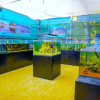 Отель Fundera Aqua Stay, фото 22