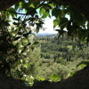 Отель Villa Melolia, фото 13