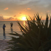 Отель Mahogany Bay Resort & Beach Club, Curio Collection by Hilton, фото 28