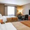 Отель Comfort Inn near Indiana Premium Outlets, фото 7