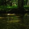 Отель Le Moulin à eau du Bas-Pezé, фото 39