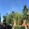 Отель Binjia Boutique Inn (Lijiang Ancient City Dashuiche Branch), фото 19
