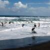 Отель Dargaville Holiday Park, фото 5
