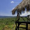 Отель Crater Forest Tented Lodge, фото 6