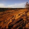 Отель Eagle Rock  Guest Farm, фото 31