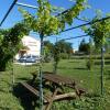 Отель Gites des Camparros, фото 6