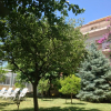Отель Apartments Arthur, фото 12