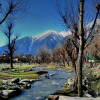Отель Pahalgam Heritage, фото 12