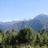 Отель Hill Top Hotel Shogran, фото 8