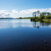 Отель Dulrush Fishing Lodge and Guesthouse, фото 23
