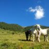 Отель Studio in Canillo, With Wonderful Mountain View and Wifi - 2 km From the Slopes, фото 16