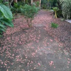 Отель Cabinas los Almendros, фото 8