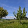 Отель Apartment With one Bedroom in Volterra, With Wonderful Mountain View,, фото 9