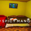 Отель The Spicy Mango, фото 7