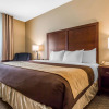 Отель Comfort Inn & Suites Mishawaka - South Bend, фото 6