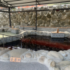Отель Hu Ye Resort, фото 12