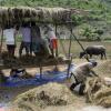 Отель Archery-Asia Nipa Huts & Camping Moalboal, фото 23