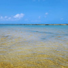 Отель Ekoara Beach Residence, фото 14