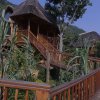 Отель Trackers Safari Lodge Bwindi, фото 18