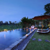 Отель Kishi - Kishi Ubud Villa, фото 27