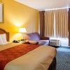 Отель Econo Lodge Petersburg - Fort Lee, фото 17