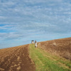 Отель Ranch Terra, фото 5