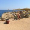 Отель Sharm Reef Hotel, фото 24