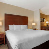 Отель Comfort Suites Foley, фото 5