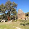 Отель Tambor del Llano, фото 27