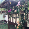 Отель Casas Aconchegantes, фото 19