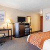 Отель Comfort Inn & Suites, фото 4